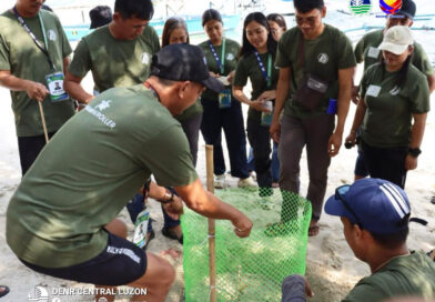DENR strengthens marine turtle protection in Zambales