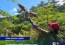 Six rehabilitated wildlife released into Aurora forests Six rehabilitated wildlife released into Aurora forests